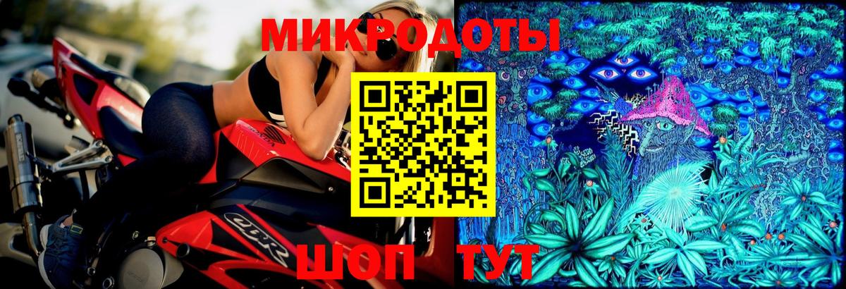 Псилоцибиновые грибы прущие грибы Кандалакша